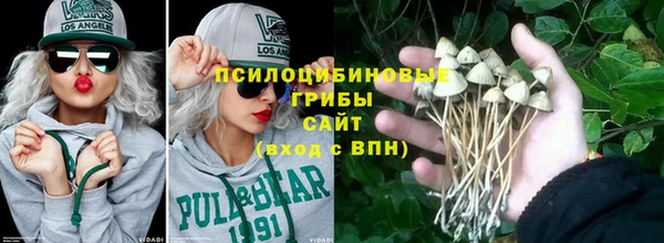 ПСИЛОЦИБИНОВЫЕ ГРИБЫ Верея